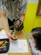 Obojživelníci a plazi